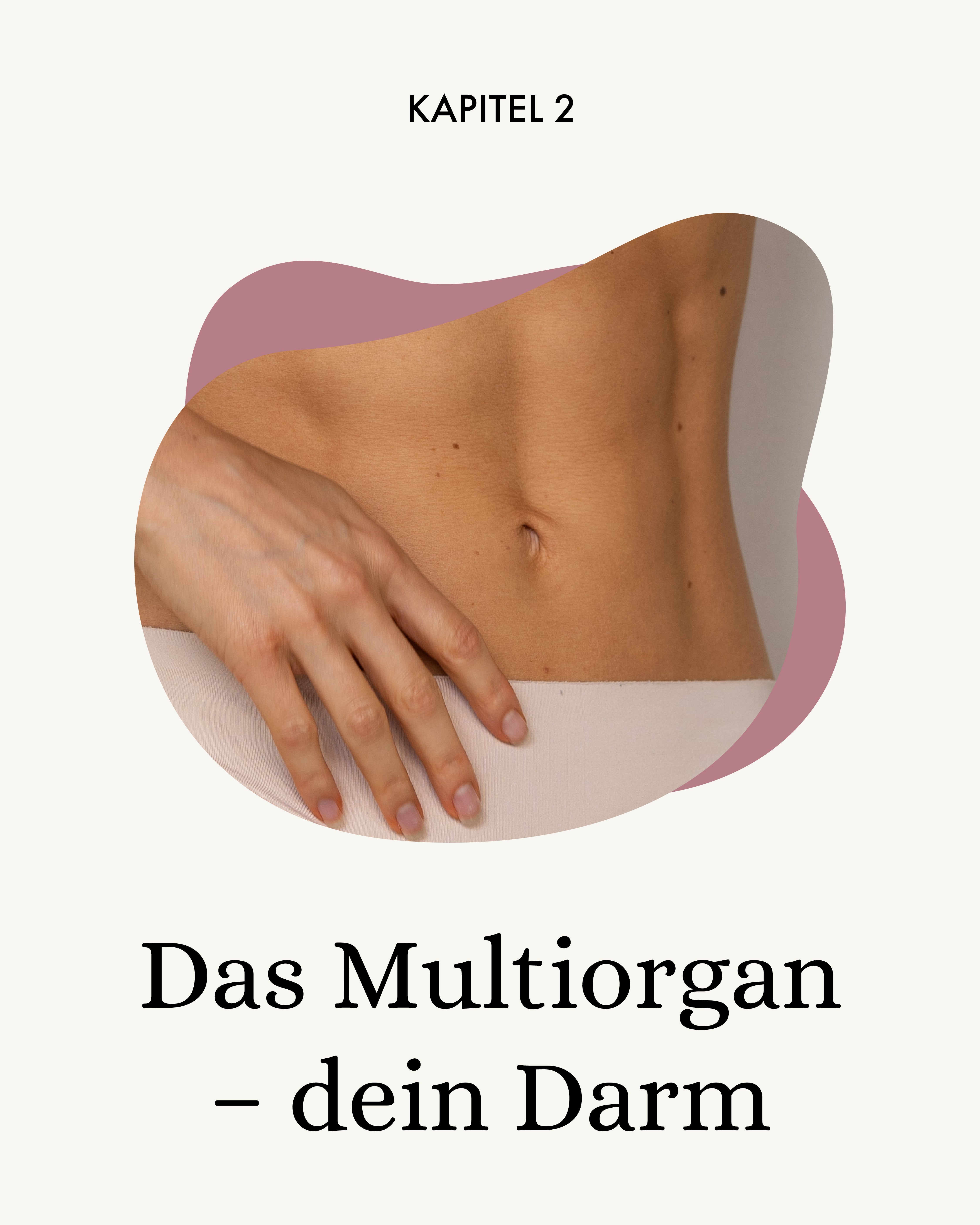 The Gut Health Guide (E-Book)